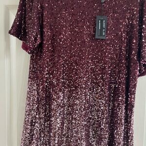 Cable & Gauge Burgundy Sequin Blouse